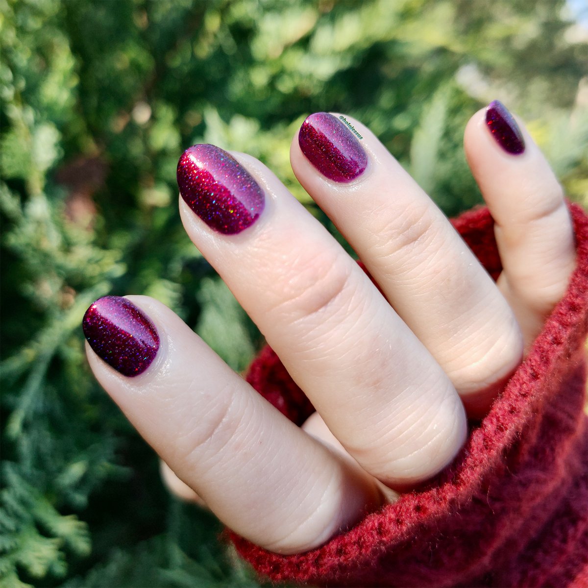 Carina - Cosmic Polish