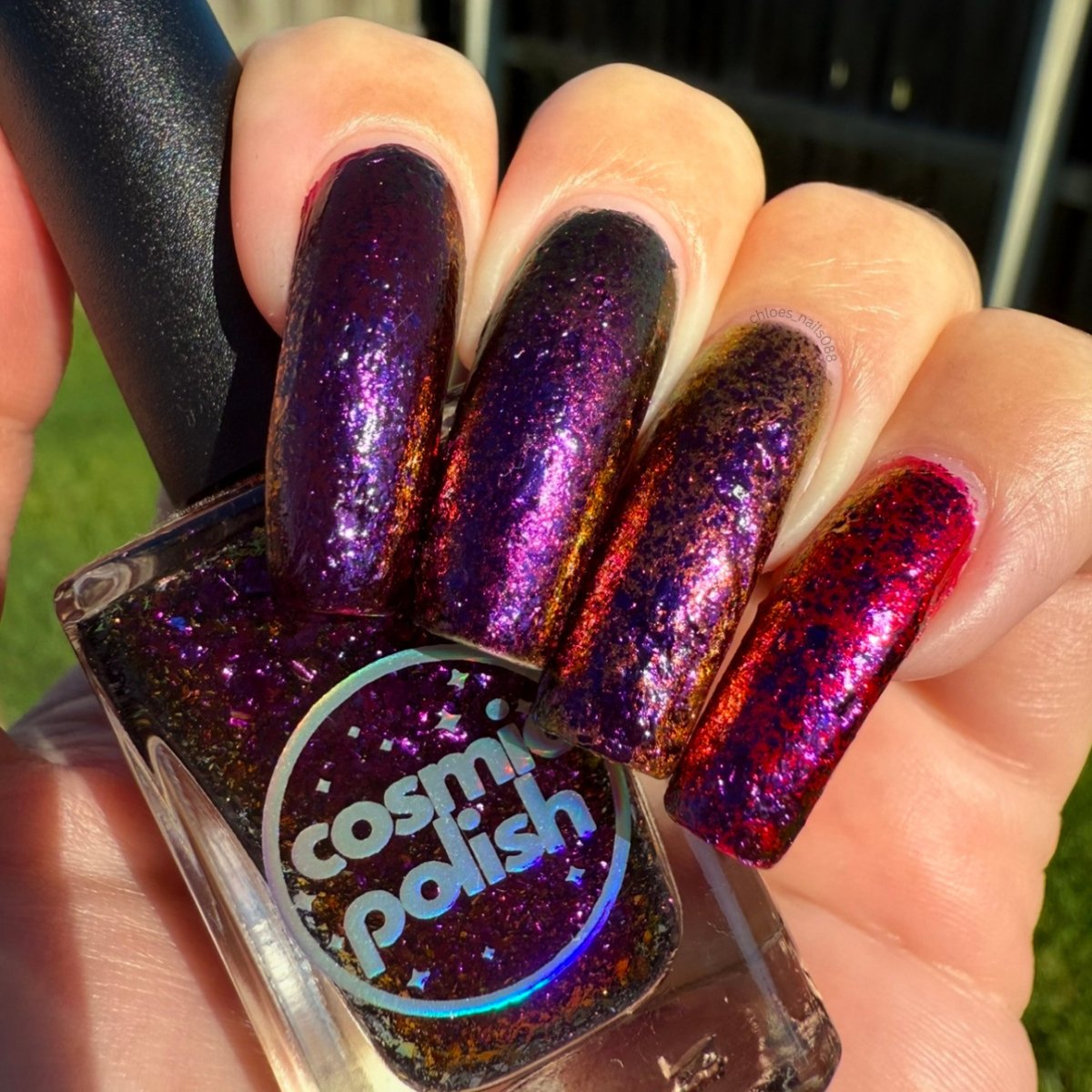 Shredded Petals - Cosmic Polish