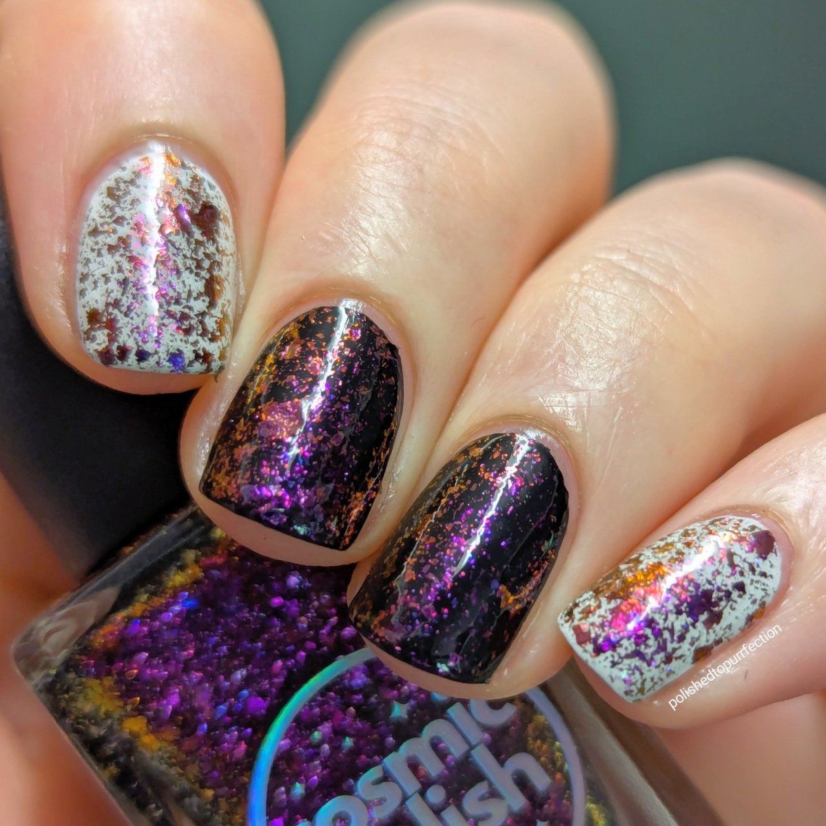 Shredded Petals - Cosmic Polish