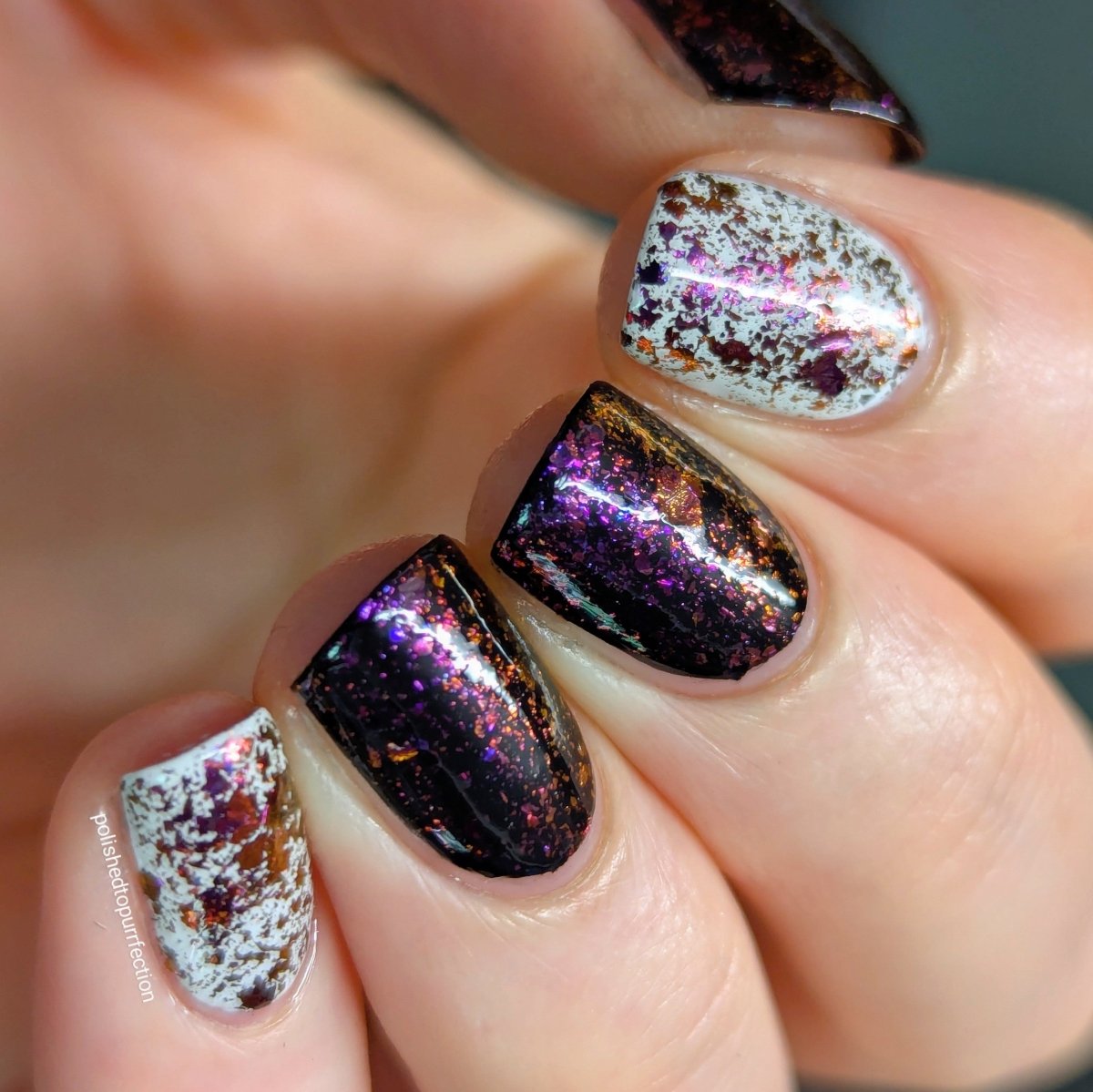Shredded Petals - Cosmic Polish
