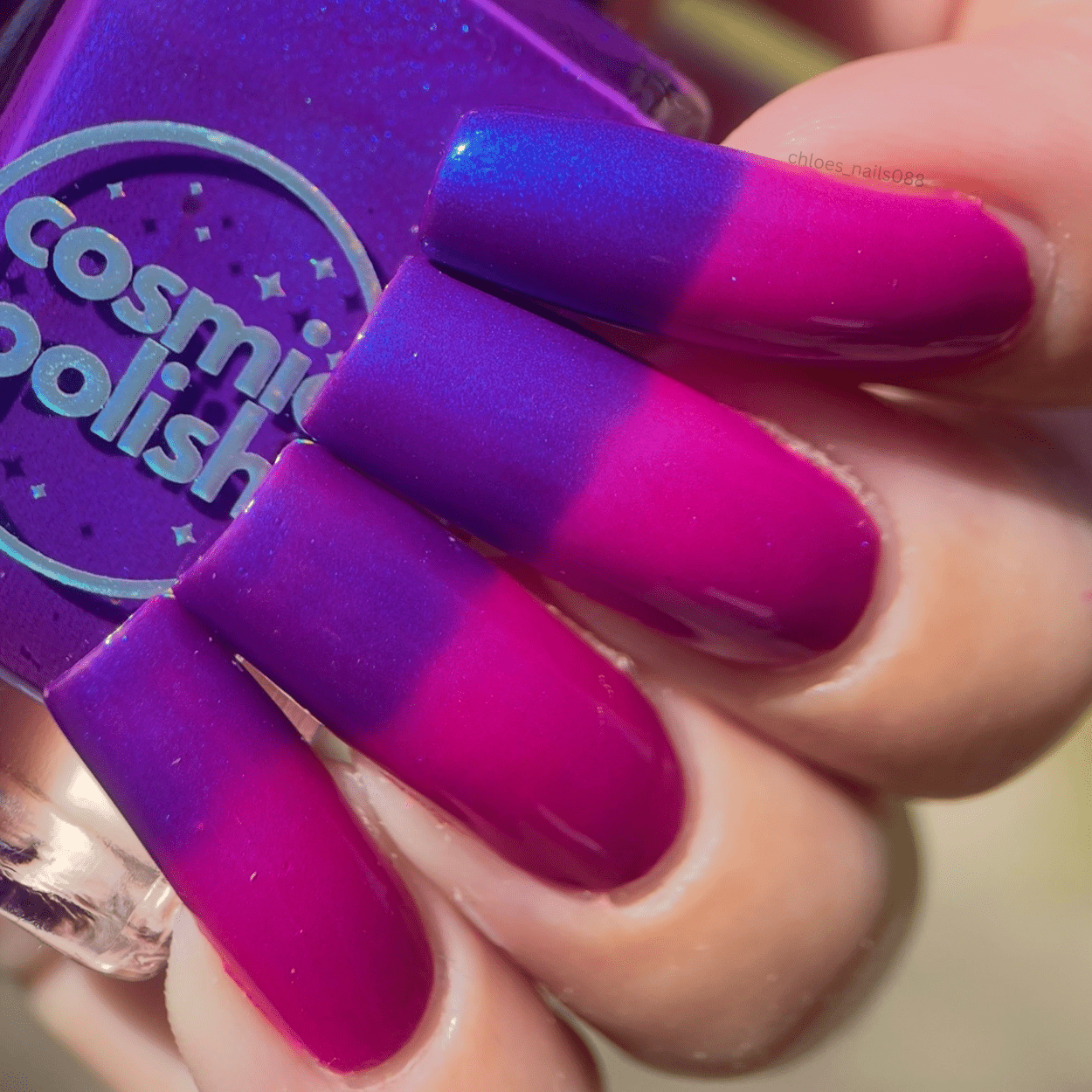 Wildflower Nights - Cosmic Polish