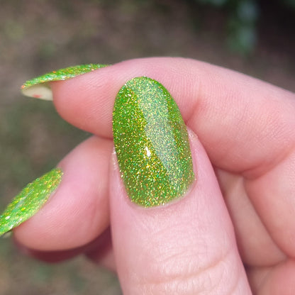 In the Limelight - Cosmic Polish