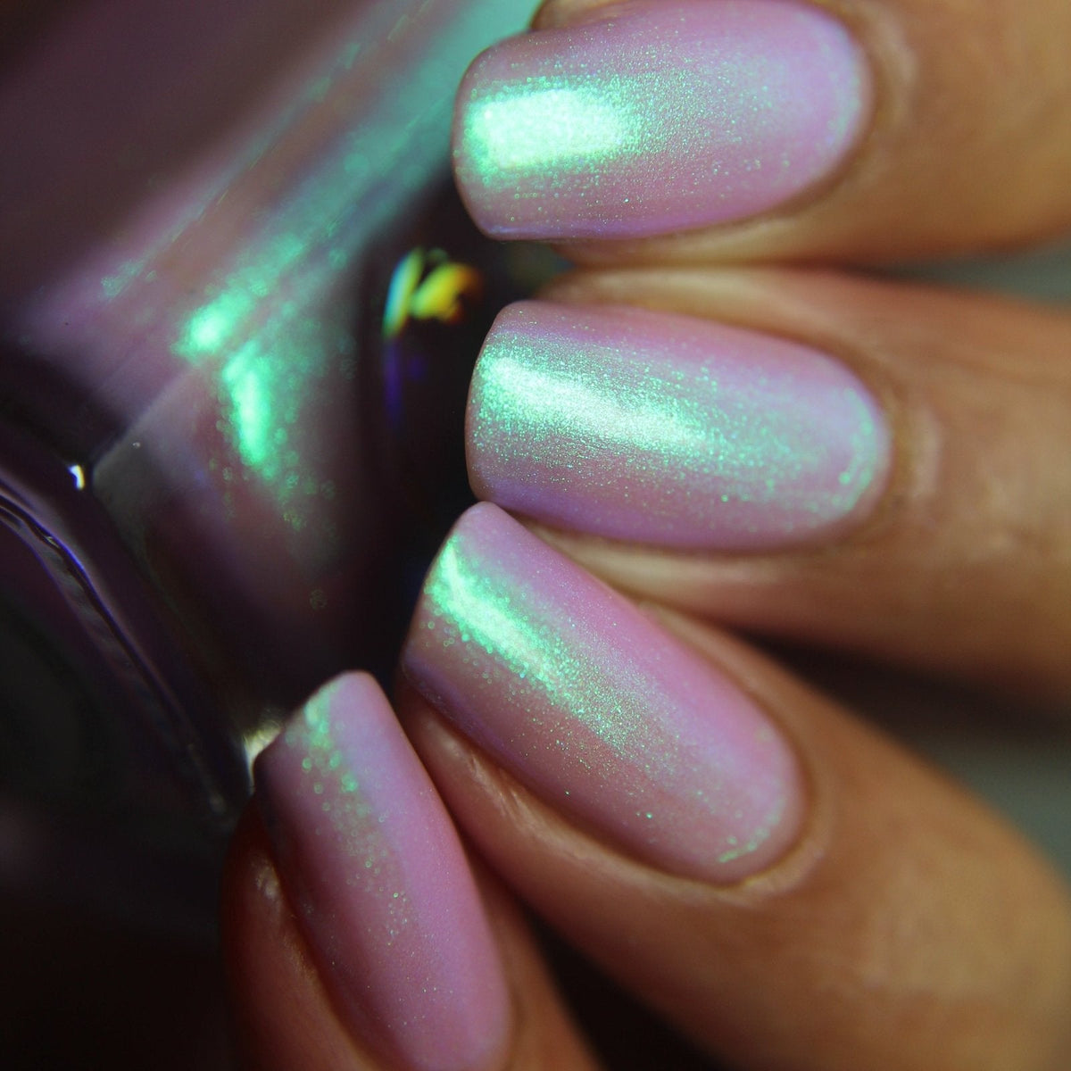 In the Pale Moonlight - Cosmic Polish