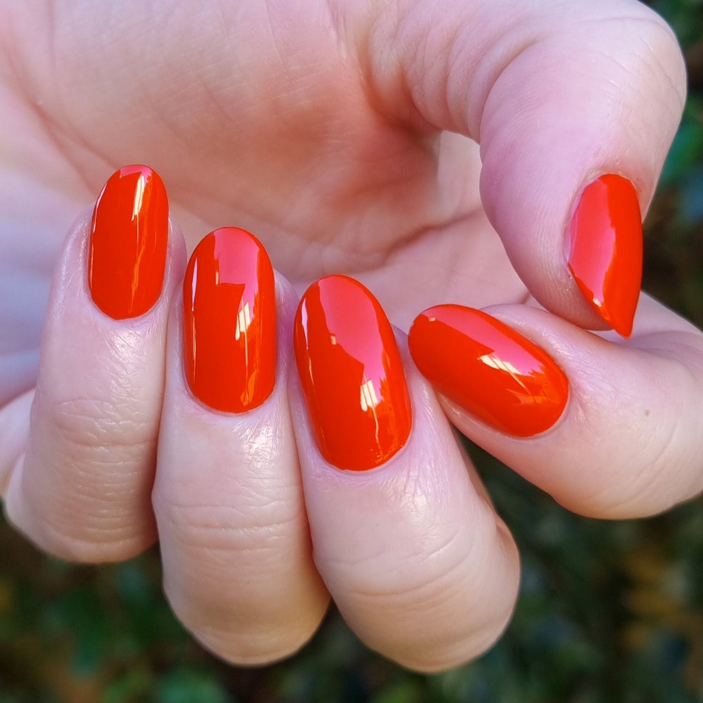 Trail Blazer - Cosmic Polish