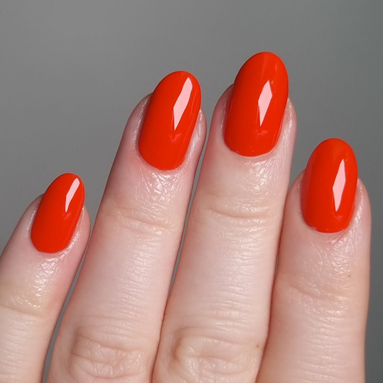 Trail Blazer - Cosmic Polish